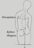 Dépistage de l'attitude scoliotique en observant les omoplates et les épines iliaques